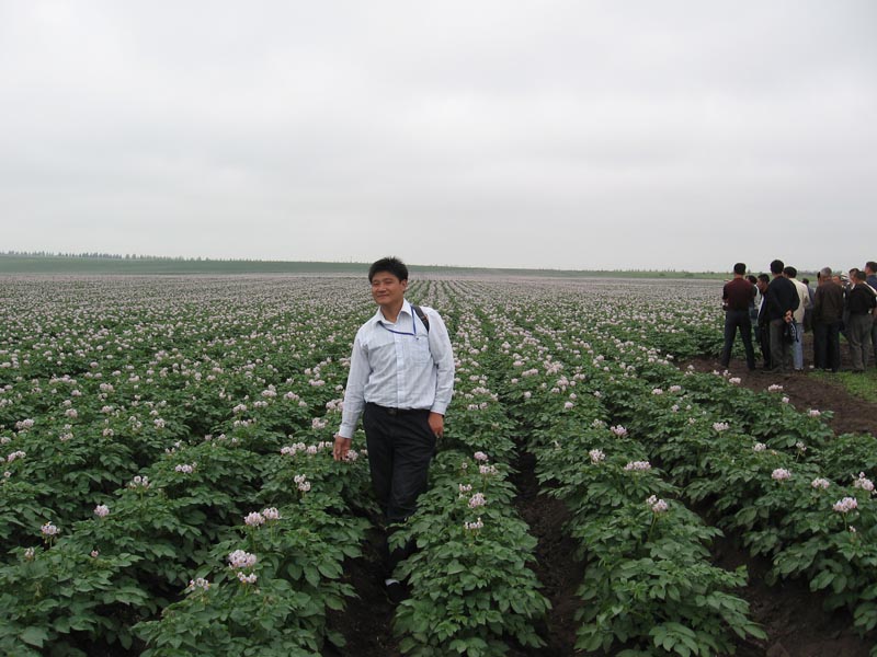 �ޱ�������